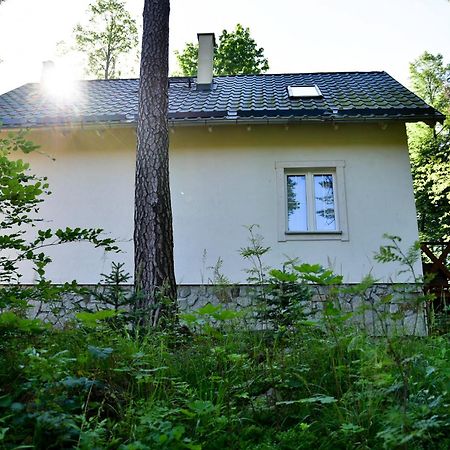 Gorski Domek Kolo Karpacza- Apartamentuj Dış mekan fotoğraf
