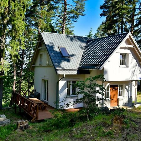Gorski Domek Kolo Karpacza- Apartamentuj Dış mekan fotoğraf
