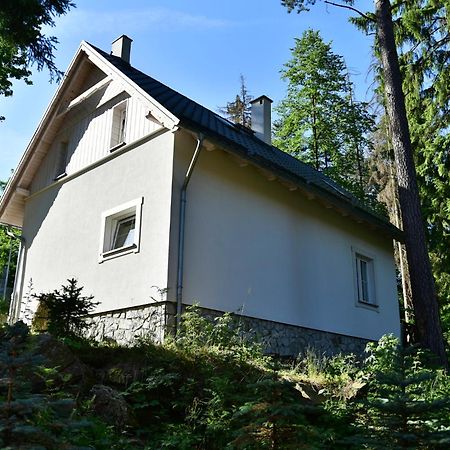 Gorski Domek Kolo Karpacza- Apartamentuj Dış mekan fotoğraf