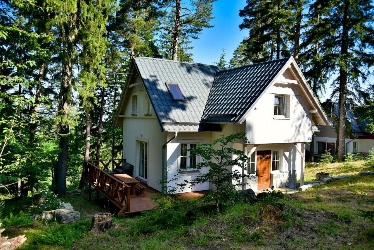 Gorski Domek Kolo Karpacza- Apartamentuj Dış mekan fotoğraf