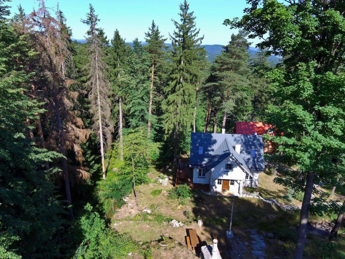 Gorski Domek Kolo Karpacza- Apartamentuj Dış mekan fotoğraf